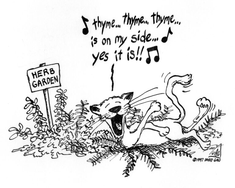 MISC_Thyme